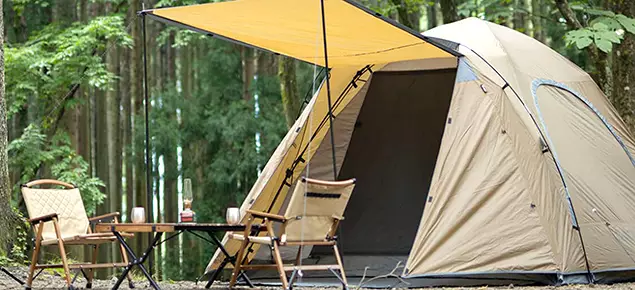 野不起來 Camp't get up 野不起來 Camp't get up