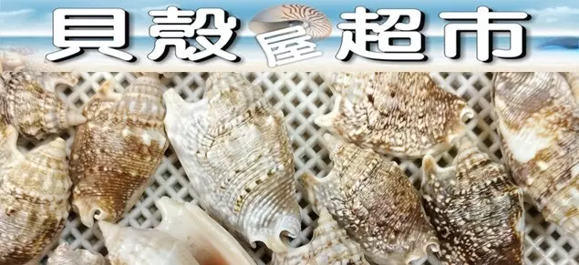 貝殼屋超市 貝殼屋超市