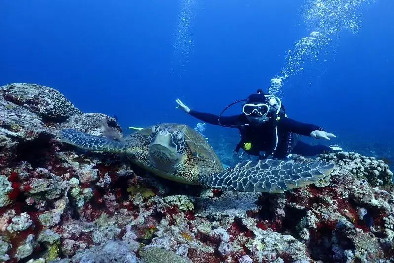想跟海龜更近距離拍照，選深潛就對了。體驗潛水、導潛、考證照都有！ 還有溫柔細心的教練，讓你絕對放心及安心的體驗。